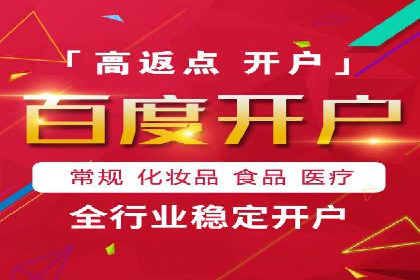 SEM专员的角色与成功案例解析